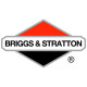 Двигатели Briggs-Stratton в Воронеже