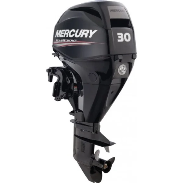 Мотор Mercury ME F 30 M GA EFI в Воронеже